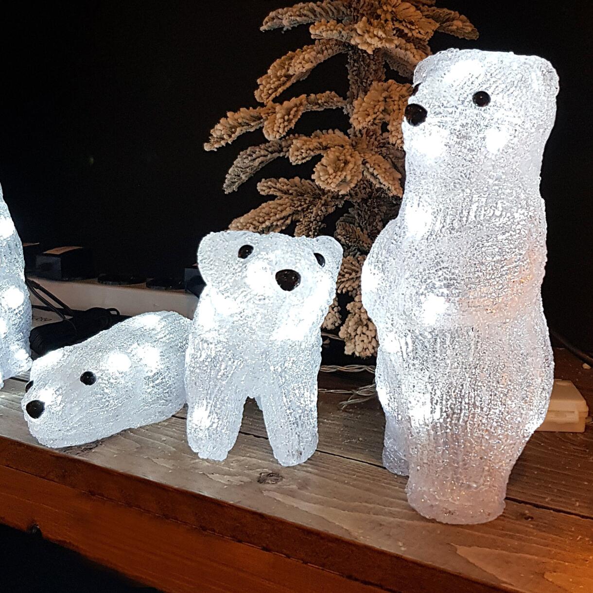 Famille d'ours lumineux à piles Téo Blanc froid 16 LED 1