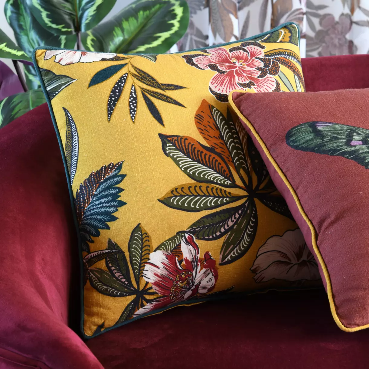 Coussin carré (45 cm) Curiosity Multicolore 1