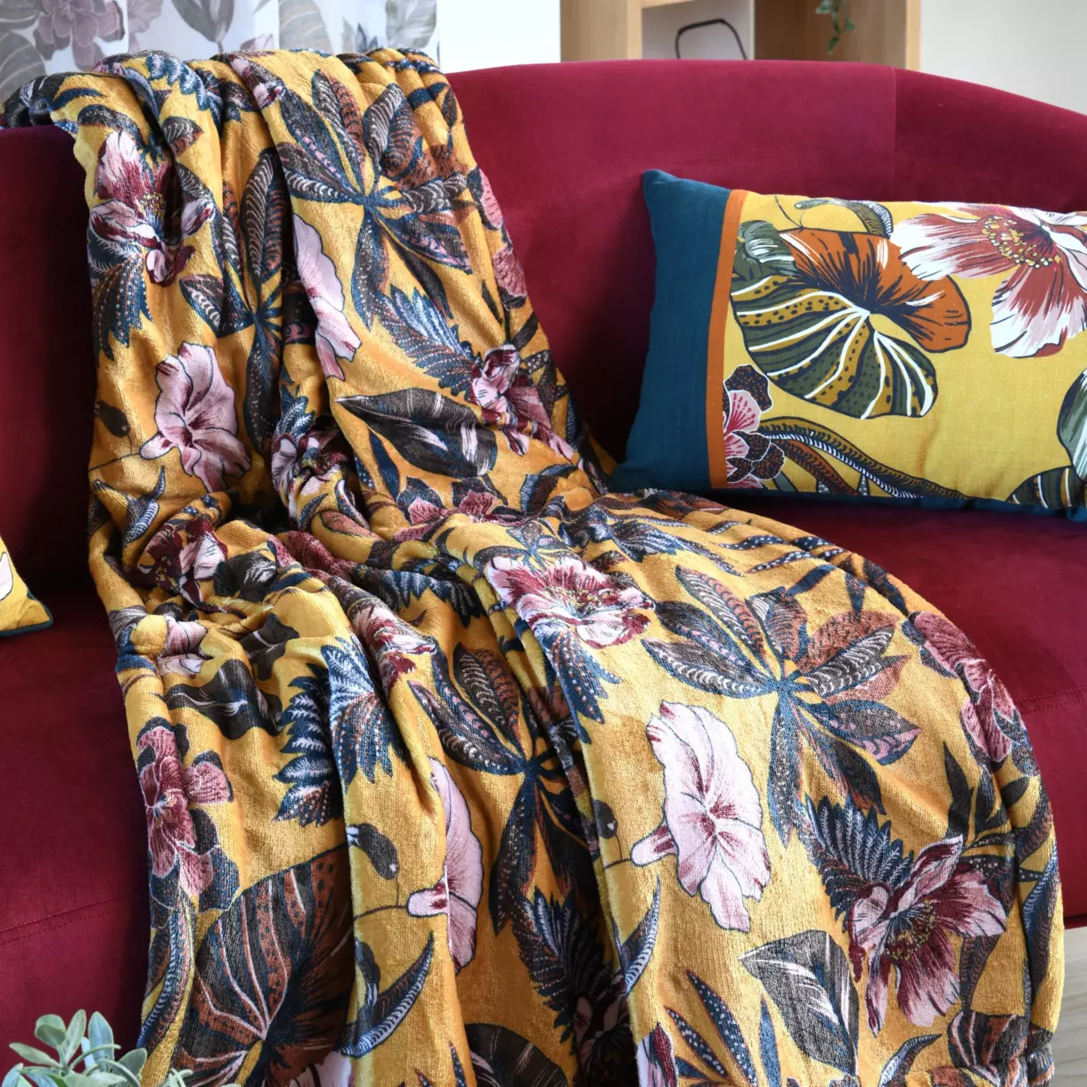 Plaid doux (160 cm) Curiosity Multicolore 1