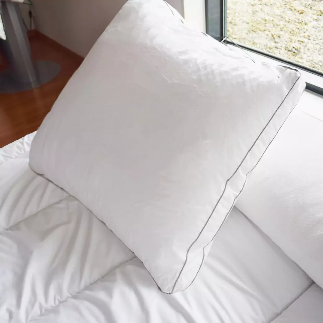 Oreiller carré (65 cm) Sensation Duvet Blanc 1