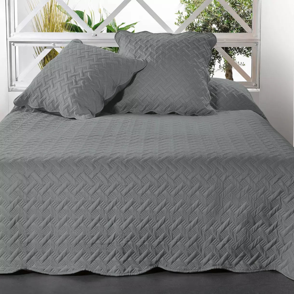 Couvre-lit et taies d'oreiller (250 x 260 cm) Californie Gris foncé 1