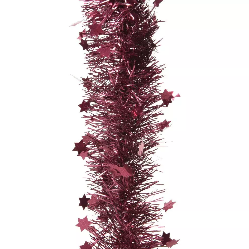 Guirlande de Noël (D10 cm) étoilée Alpine Magnolia 1