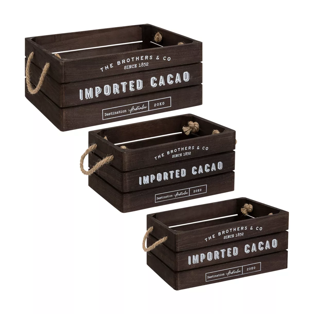 Lote de 3 cajas madera Denys Marrón