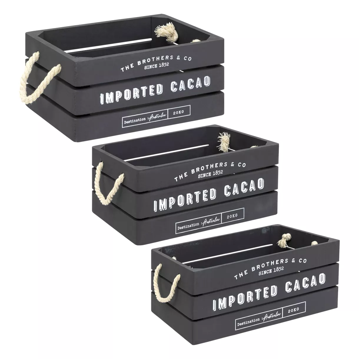 Lote de 3 cajas madera Denys Gris