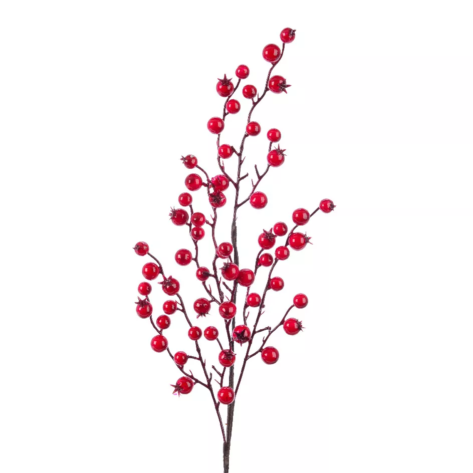 eminza Branche de baies (H60 cm) Holy Rouge laqué
