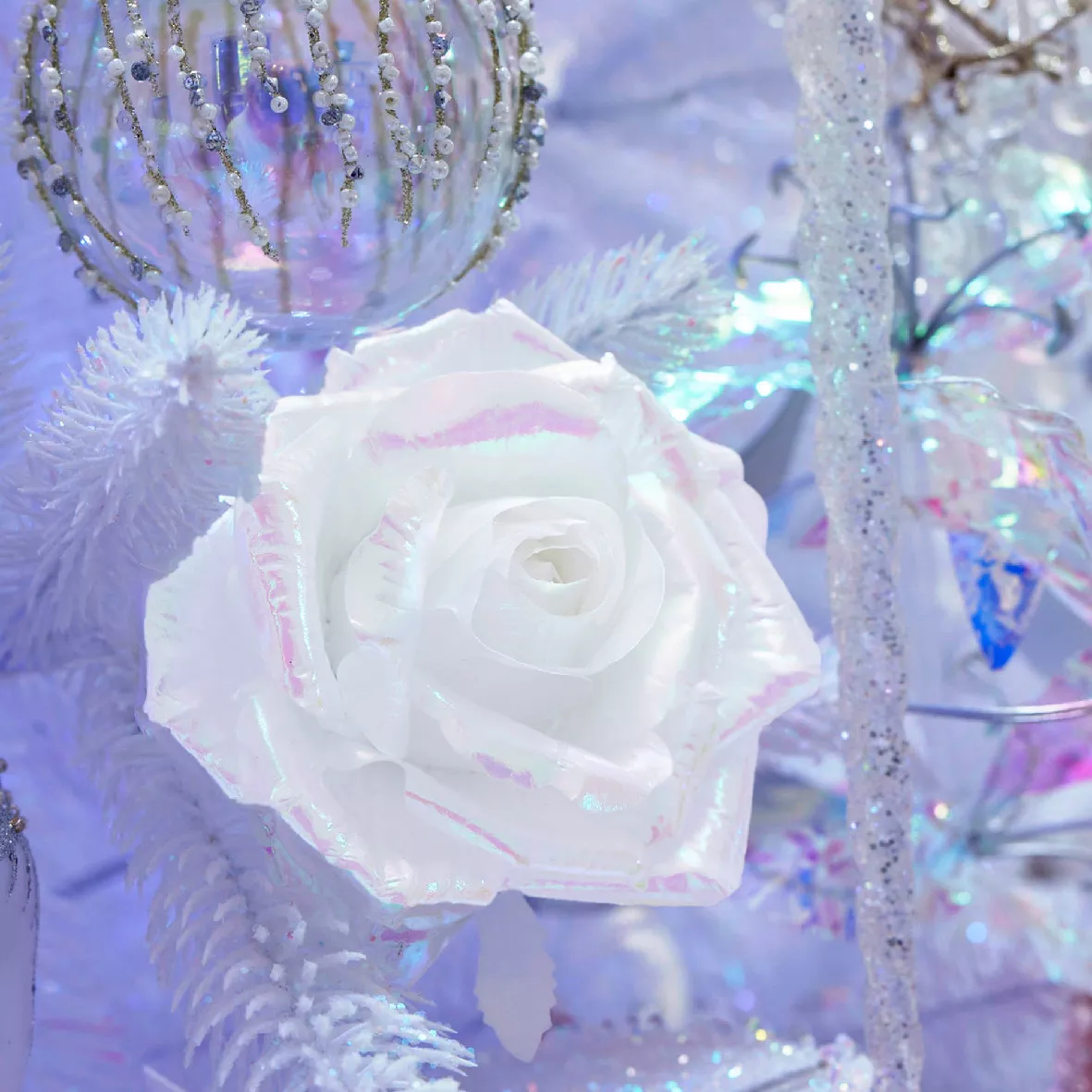 Rosa de Navidad en clip (D12 cm) Ice iridiscente