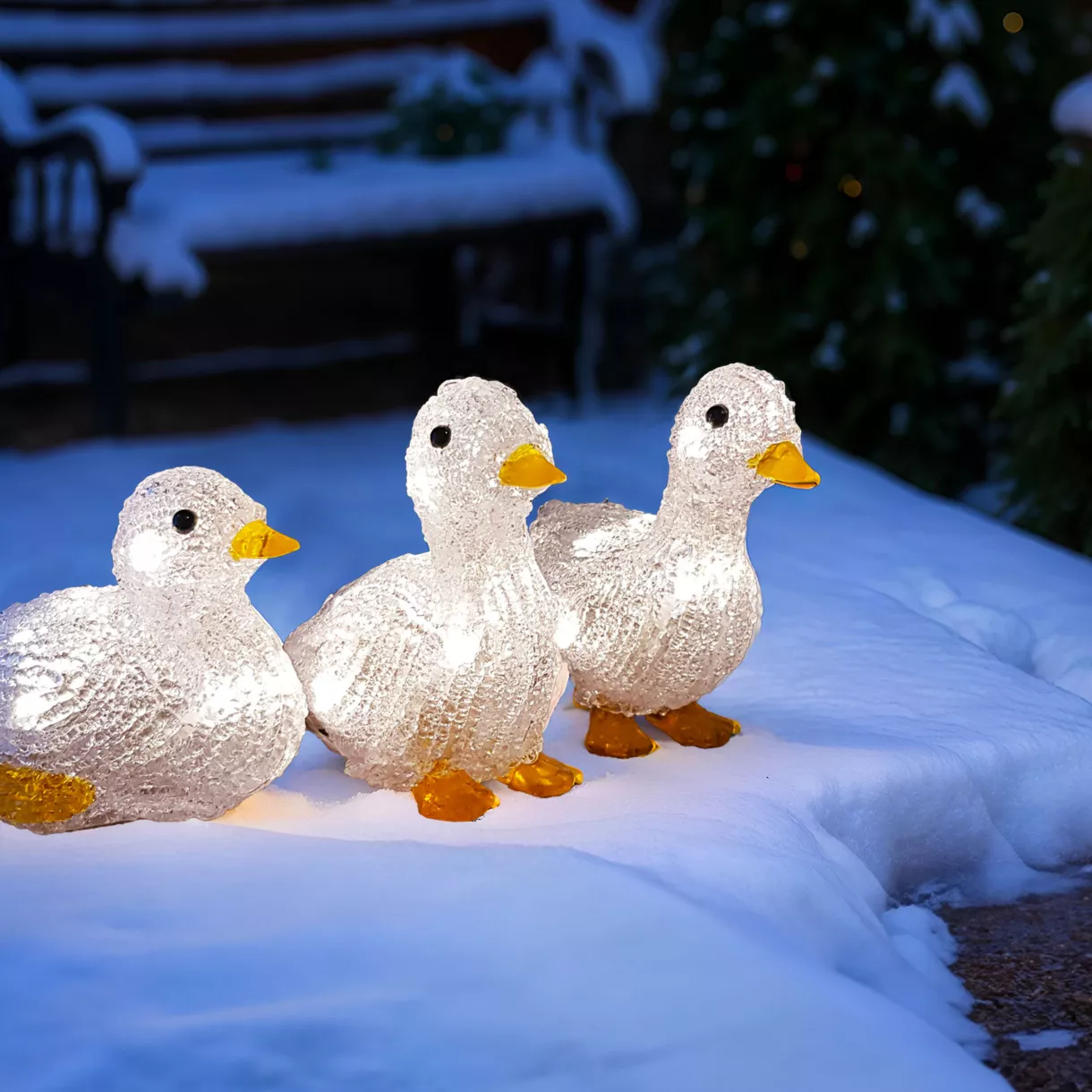 Familia Patos a pilas luminoso blanco cálido 10 LED 1