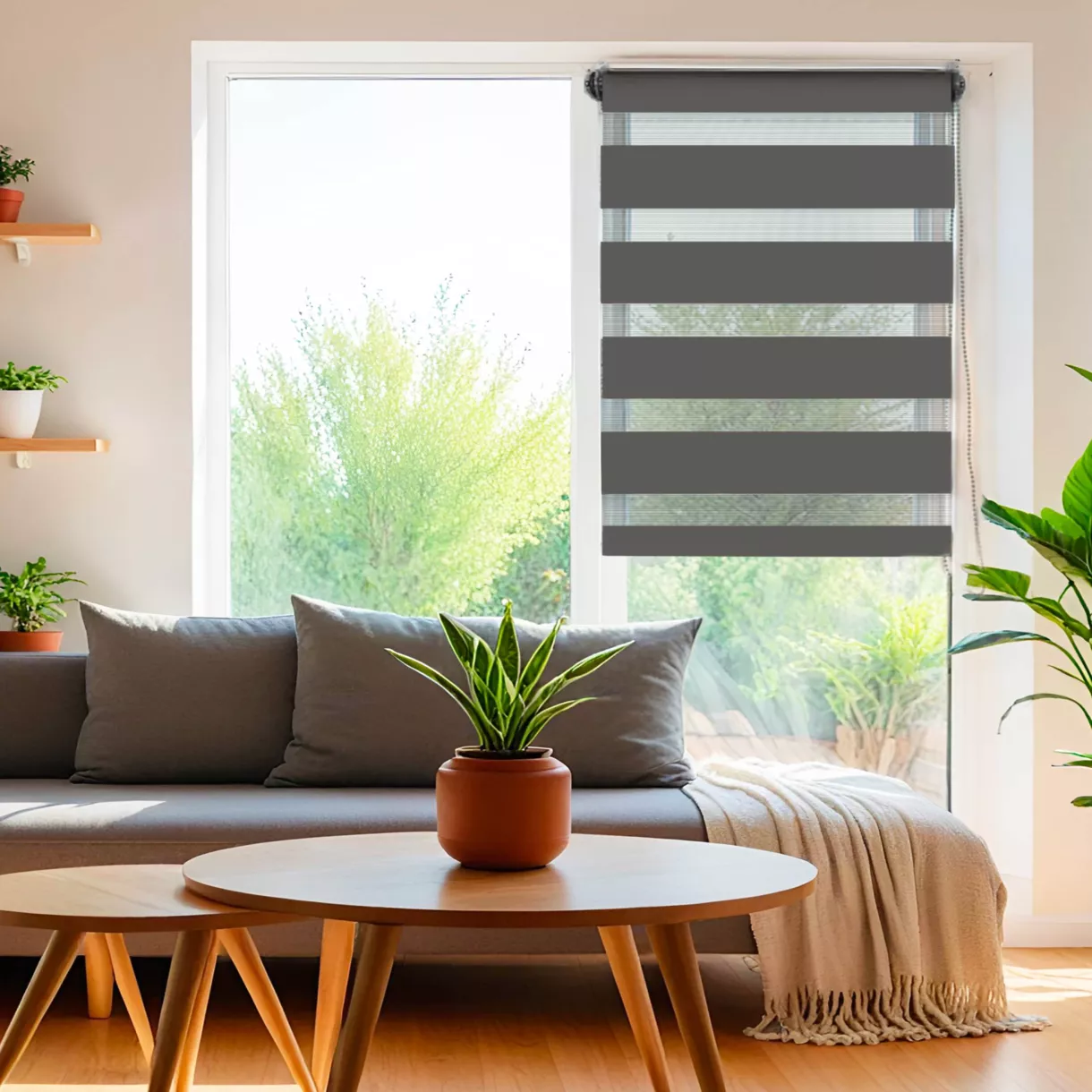 Estor enrollable Día / Noche (75 x 250 cm) Gris antracita 1