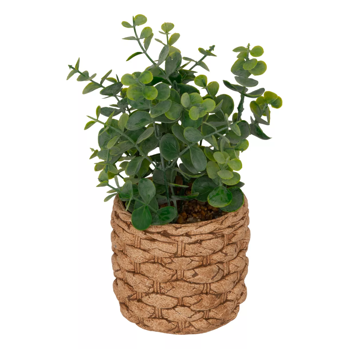 Plante artificielle en pot cimenté (H27 cm) Eucalyptus Jaye