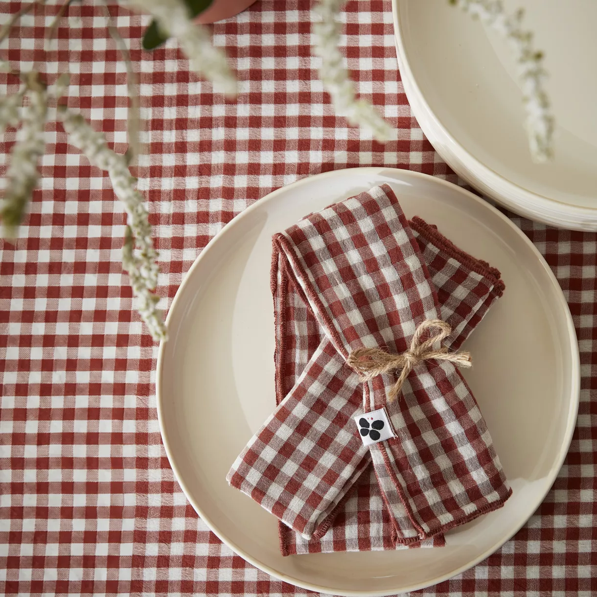 Lot de 3 serviettes gaze de coton (40 x 40 cm) Vickie Terracotta