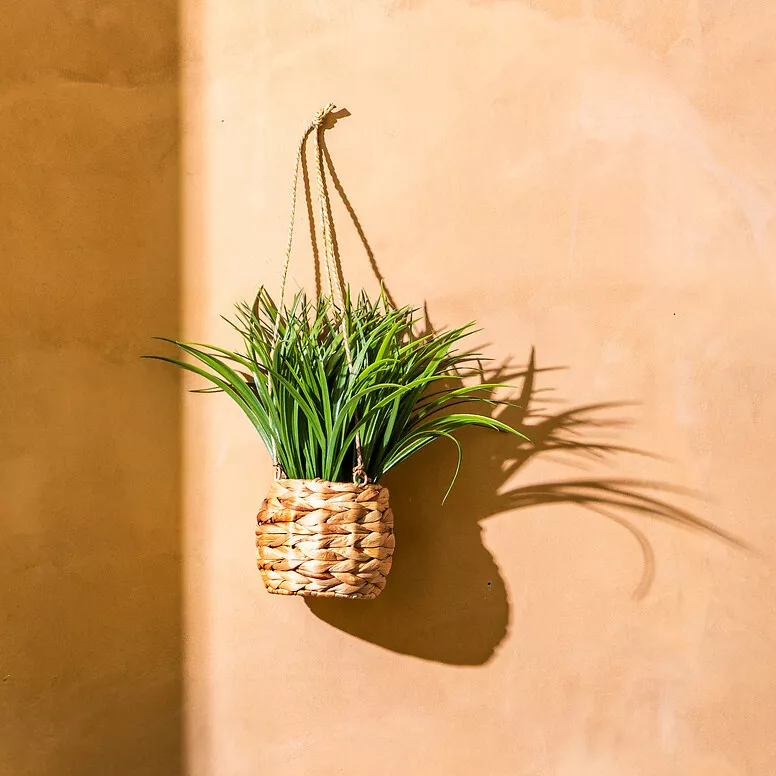 PLANTE SUSP HERBE MODA H27 L. 25 x P. 25 x H. 27 cm