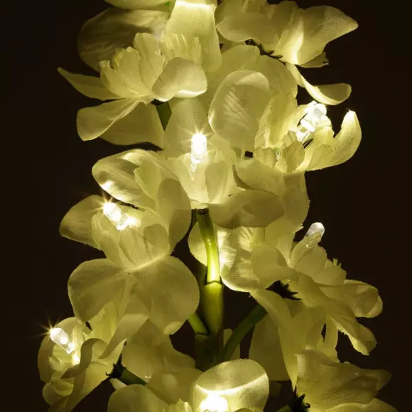 Lot de 2 piques de jardin solaires LED Glaïeul - Blanc chaud 2