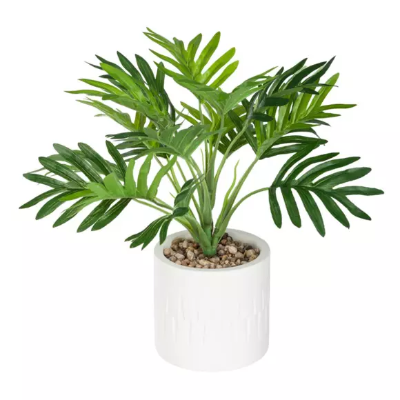 Palmier en pot Etnik Vert 2