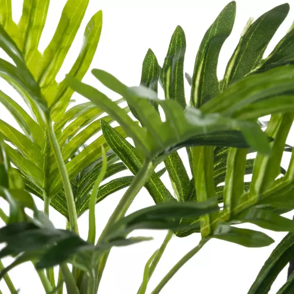 Palmera en maceta Etnik Verde 3