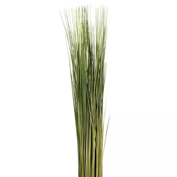 Gavilla de hierba Boli Verde 3