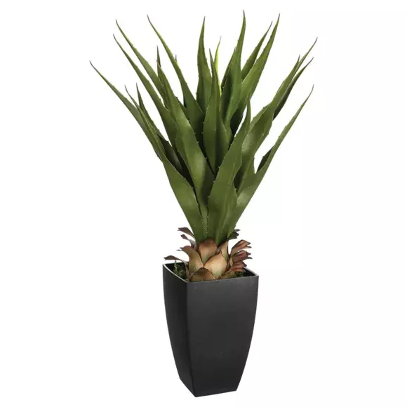 Palmier en pot Rurik Vert 2