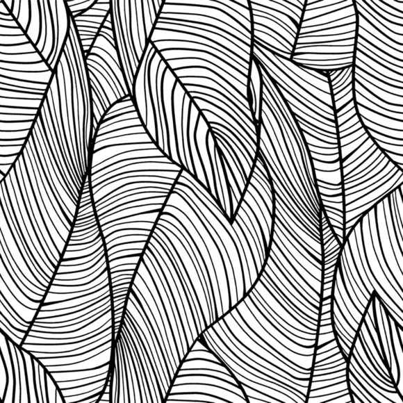 Papel pintado adhesivo (130 x 260 cm) Negro Coco 3