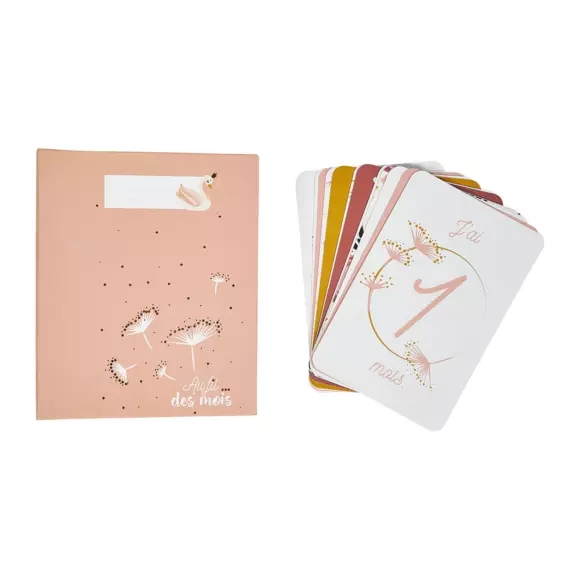 Juego de álbum de fotos y tarjetas de meses Cygne Rosa