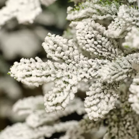 Árbol artificial de Navidad Sierra Alto 120 cm Verde nevado 2