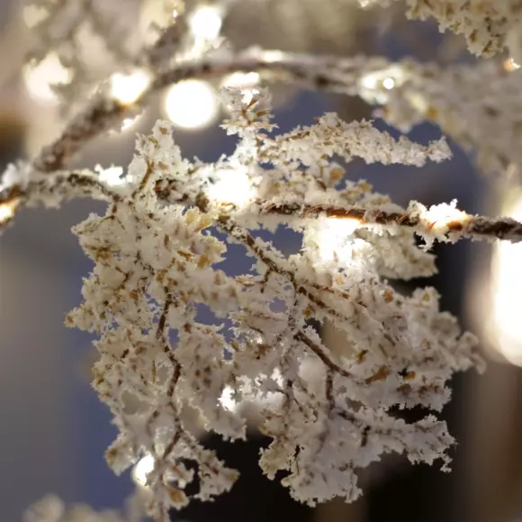 Árbol luminoso Gaelis H180 cm Blanco cálido 3