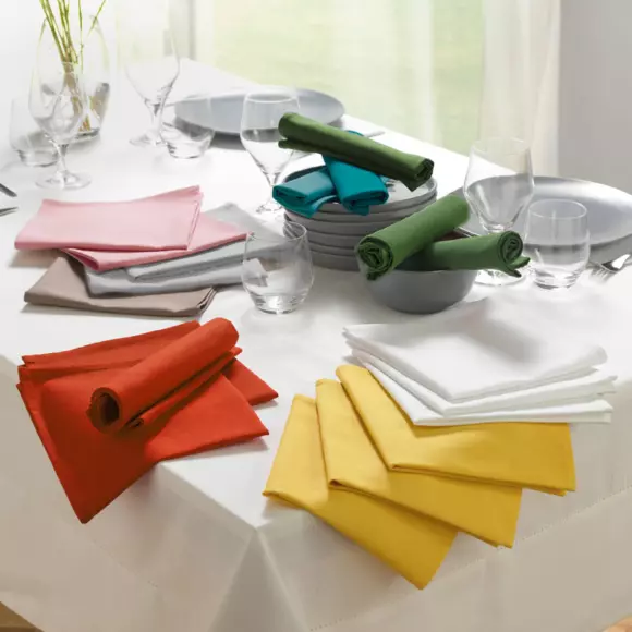 Lot de 3 serviettes coton Initia Bleu 3