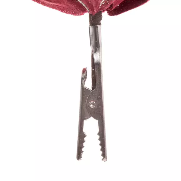 Poinsettia de Noël Kely  sur clip Rouge 2