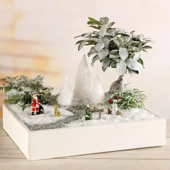 Lot de 9 sapins Blanc pour aménager un village 3