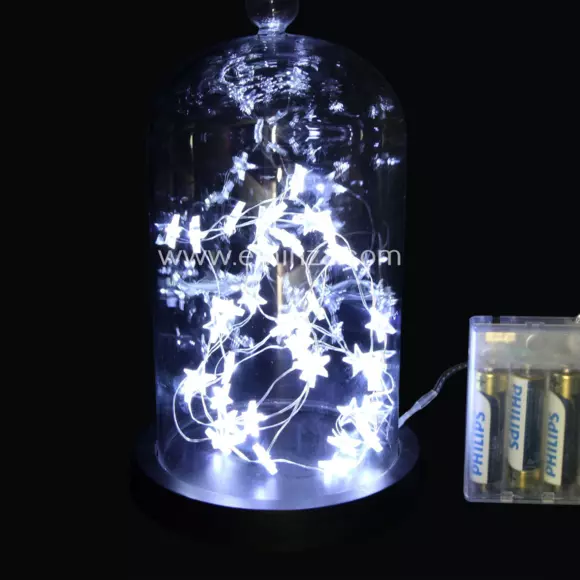 Guirlande lumineuse à piles Étoile Micro LED Blanc froid 40 LED 2