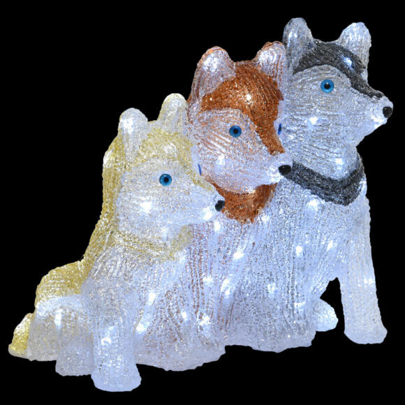 Chien lumineux Fratrie Blanc froid 80 LED 3