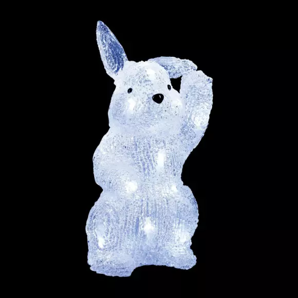 Lapin lumineux Croque-Carotte Blanc froid 20 LED 3