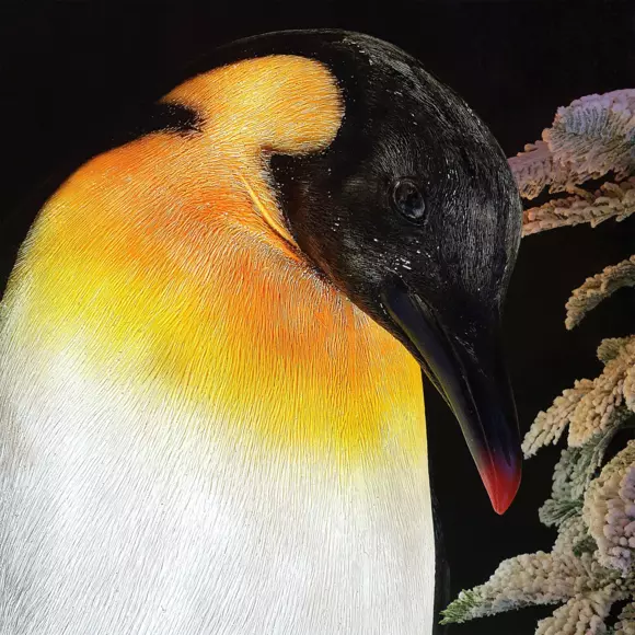 Pingouin lumineux et son bébé Blanc froid 8 LED 2