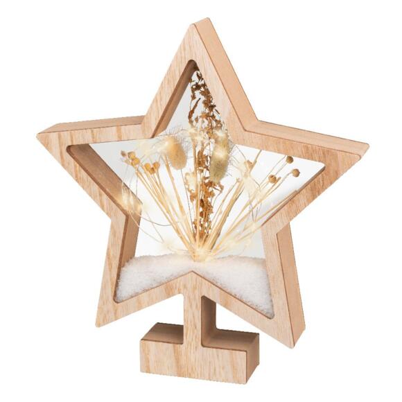 Estrella florida a pilas con luz Blanco cálido 25 LED 2