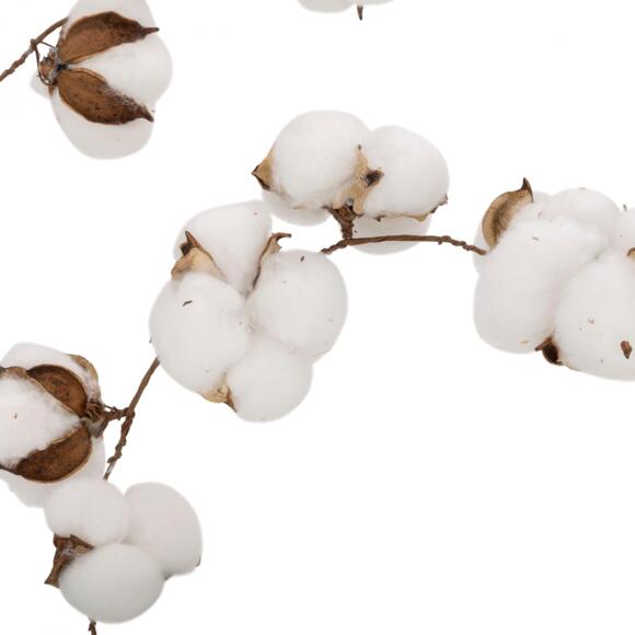 Guirnalda Flor de algodón Blanco