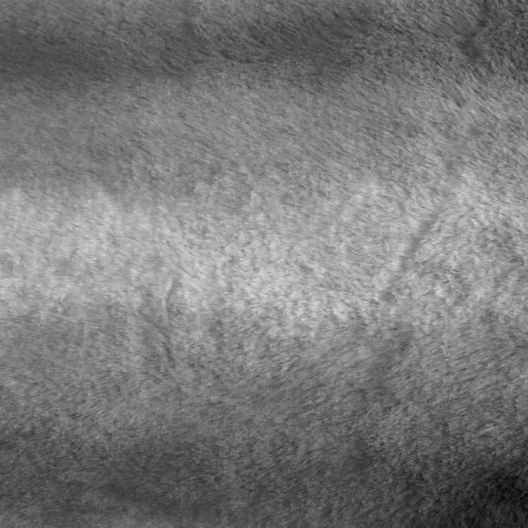 Manta imitación piel (230 cm) Grizzli Gris 3