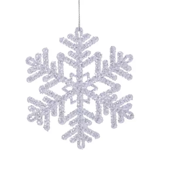 Confezione di 2 stelle Fiji Argento 2