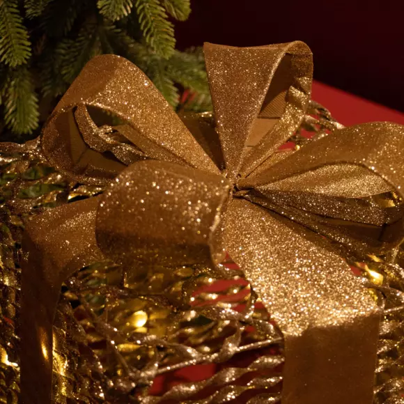 Juego de 3 regalos Aston a pilas  con luz Blanco cálido 65 LED 2