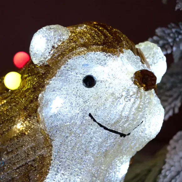 Verlichte egel Jeno (batterijen) Koud wit 40 LED 2