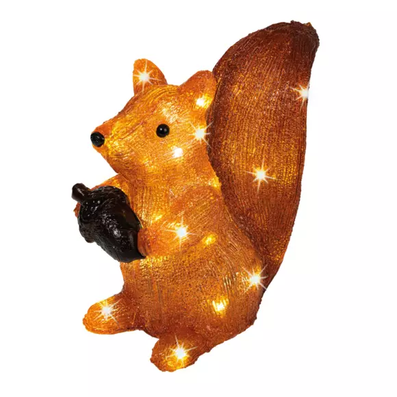 Ecureuil lumineux à piles Franklin Blanc froid 30 LED 3