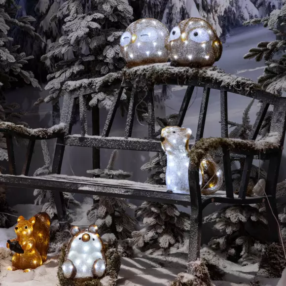 Ecureuil lumineux à piles Nuts Blanc froid 40 LED 3