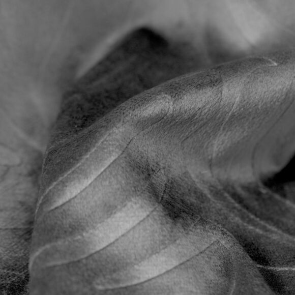 Cortina opaca terciopelo (140 x 180 cm) Fern Gris antracita