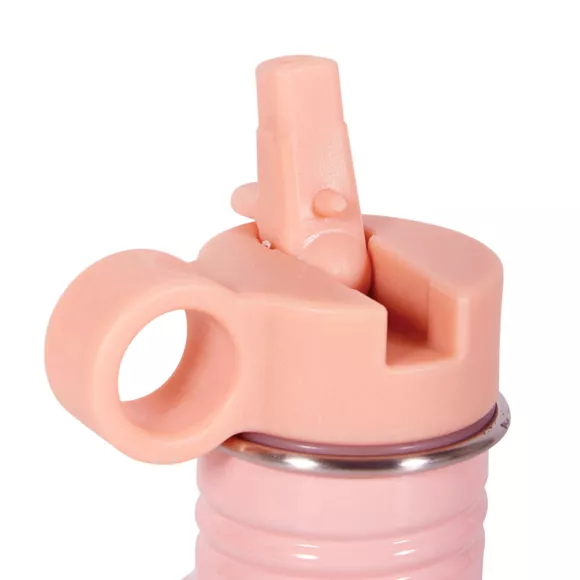 Trinkflasche Kind Metall (16 cm) Licorne Rosa
