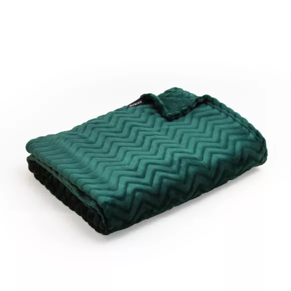 Kuscheldecke aus Flanell (220 x 240 cm) Zag Grün