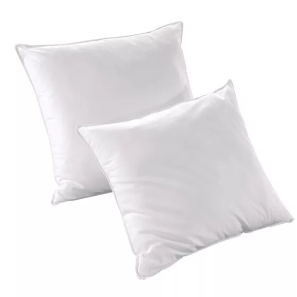 LOT COUETTE 220x240cm + 2 OREILLERS ANTI-ACARIENS 60x60cm EMINZA (DONNER UN NOM)