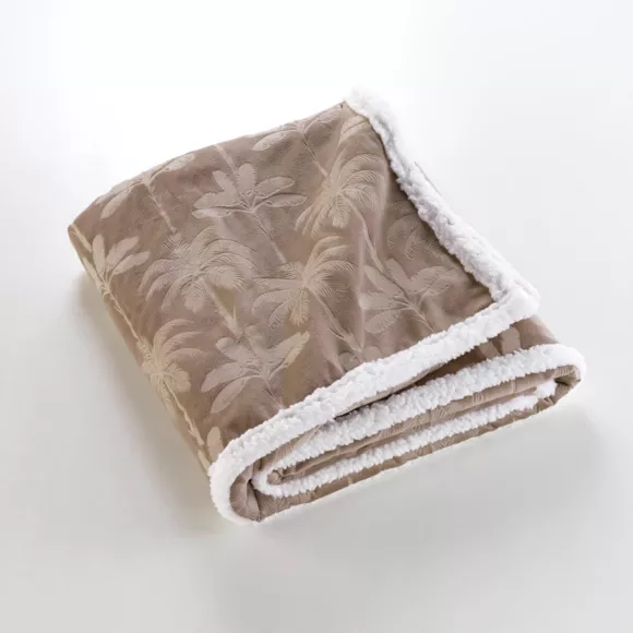 Manta suave (125 x 150 cm) Palmys Marrón