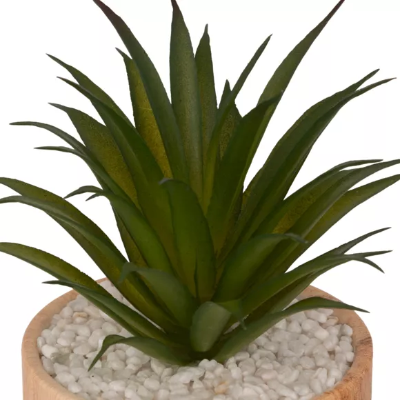 PLANTE V CRMQ BOIS SAO H17,5 L. 9,2 x P. 9,2 x H. 17 cm