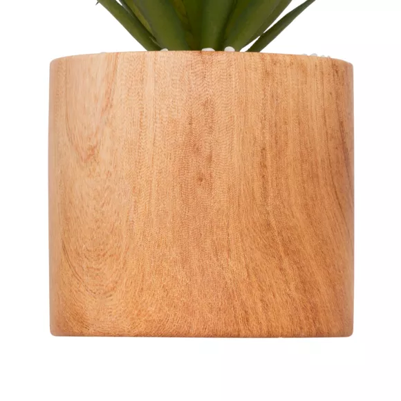 PLANTE V CRMQ BOIS SAO H17,5 L. 9,2 x P. 9,2 x H. 17 cm