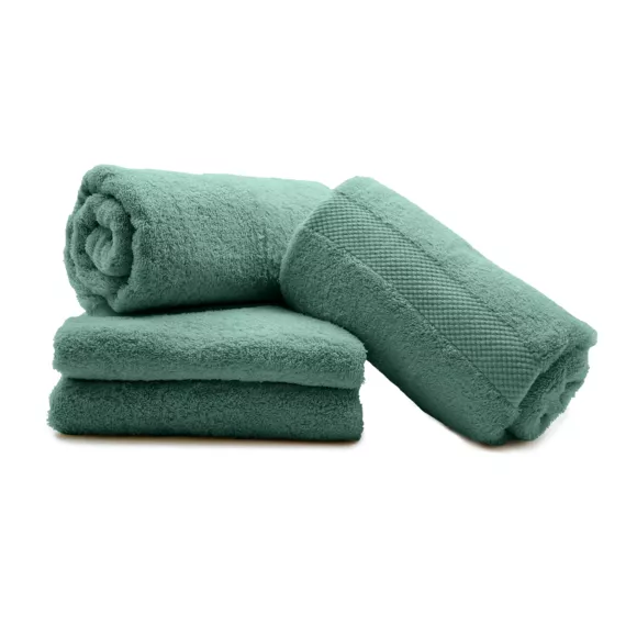 Lot de 4 serviettes de toilette coton (70 x 130 cm) Elegance Vert céladon
