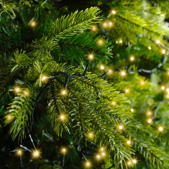 Guirlande lumineuse 16 m 750 LED câble vert Luxe Blanc chaud Champagne
