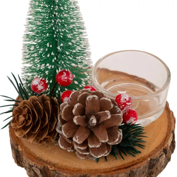 PHP SAPIN PDP VR D10X12CM