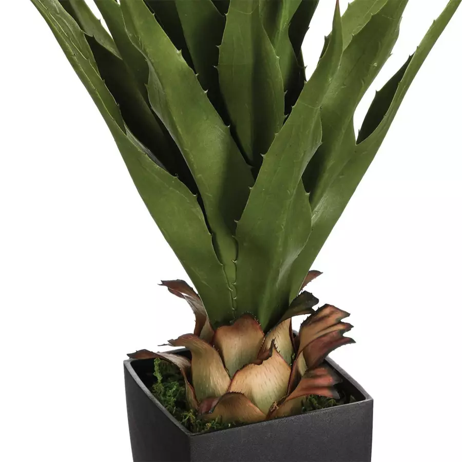 Palmier en pot Rurik Vert 4